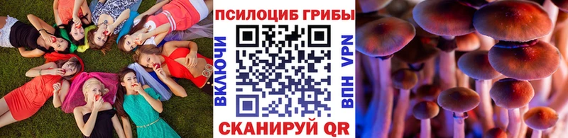 Псилоцибиновые грибы ЛСД  Ливны 